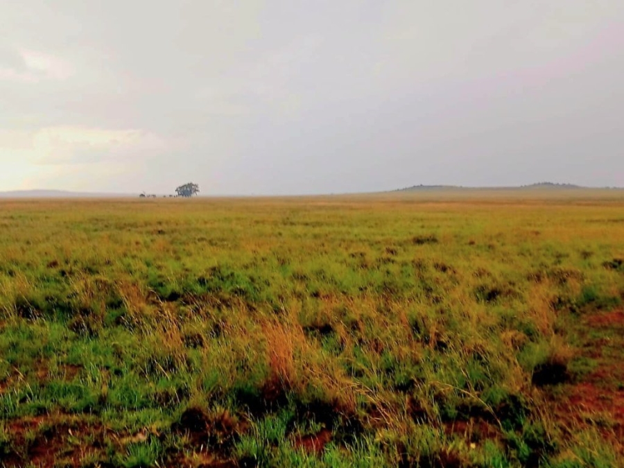 3 Bedroom Property for Sale in Bloemfontein Rural Free State